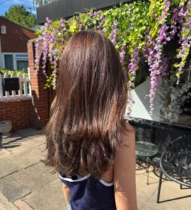 stephen young salon