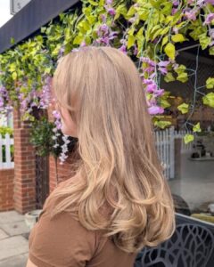 Stephen Young Salon Blondes